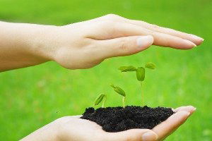 Bergama`da `Tohum Semineri` Yapıldı