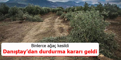 Danıştay`dan termik santrale durdurma kararı