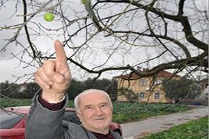 Bursa`da Kasım Ayında Çıkan Erik Şaşırtıyor