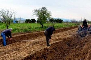 ÇKS Kayıtları 31 Aralık`ta Sona Erecek