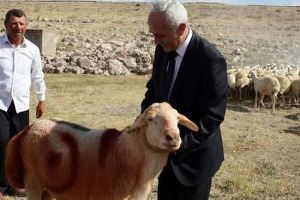 Çoban Olmak İsteyenlere Eğitim Verilecek