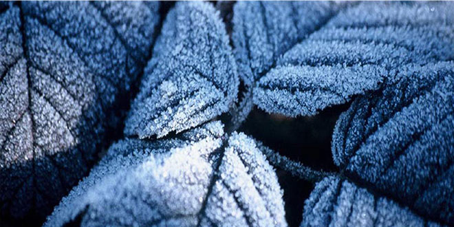 Malatya`da Orta Kuvvette Don Uyarısı