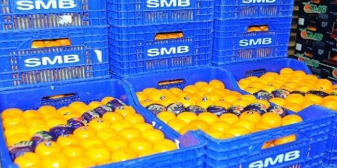 Dünyanın En Kaliteli Mandalinasının Sezonu Başladı