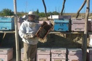 Ergani`de Yükselen Sektör Arıcılık