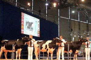 Fuarda İlk Kez Canlı Hayvan Holü Olacak