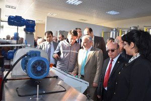 Harran, Kaliteli Zeytinyağı Üretmeyi Hedefliyor