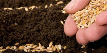 Araban`da Sertifikalı Tohum Dağıtımı