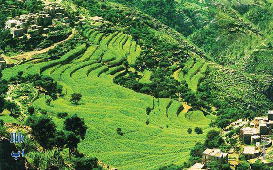 Yemen`in Tarım ve `Sayfiye` Kenti: İbb