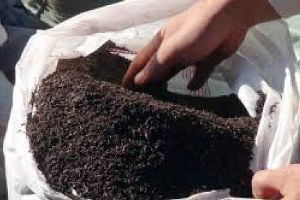 Bayburt`da 17 Bin 760 Kilogram Kaçak Çay Ele Geçirildi