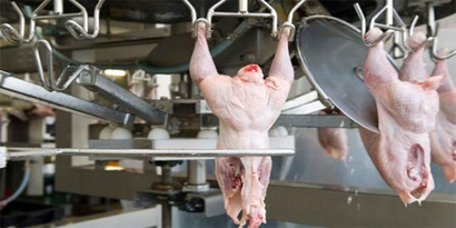 Kanatlı Eti Sektörünün 2025 İhracat Hedefi 2,6 Milyar Dolar
