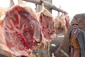 Kars`ta Kaz Kesimi Başladı