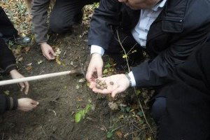 Kilosu Bin Euro`ya Satılan Mantar İstanbul`da Yetişecek