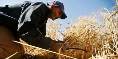 Kırıkkale`de Çiftçilere Fark Ödemesi Müjdesi