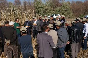 Kırıkkale`de `Tarla Günü` Etkinliği Düzenlendi