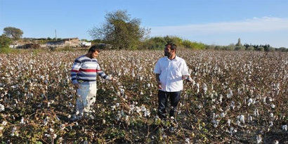 Manavgat`ta 290 Çiftçi Sel Hasar Tespiti İçin Başvurdu