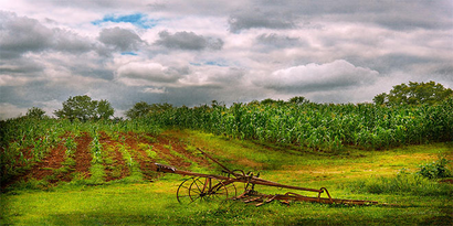 Kırklareli`de `Organik Tarım` Konferansı Düzenlendi