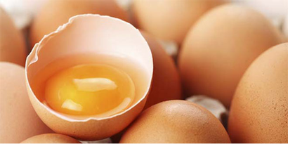 Kadirli`de Organik Yumurta İçin 90 Dönümlük Çiftlik Kurdu