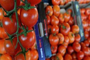 Silifke`den Irak, Suriye ve Rusya`ya Domates İhracatı