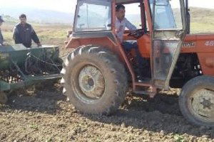 Personelin Maaşlarını Ödemekte Zorlanan Belediye Başkanı 80 Dönümlük Tarlaya Buğday Ektirdi