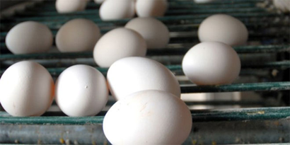Kayseri`de toptan yumurta fiyatları arttı