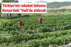 Türkiye`nin rekabet tohumu Konya`daki `Vadi`de atılacak