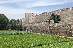 Topbaş Umuyoruz Ki Bostanları Korur