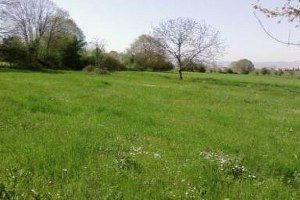 5 Bin 870 Dekar Zirai Arazi Suya Kavuşacak