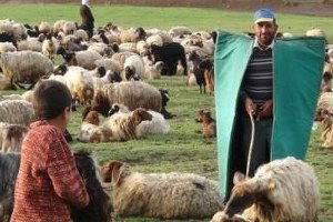 Aydın`da Çobanlık Kursunun Dördüncüsü Düzenleniyor