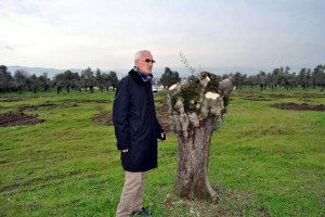 Zeytinliklerin Satılmasına Tepki Gösterdiler