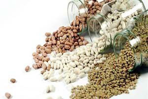 Kilogram Başına Verdiğimiz Primi Yüzde Yüz Artırıyoruz