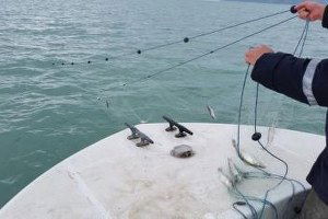 Beyşehir Gölü Hayalet Ağlardan Temizleniyor