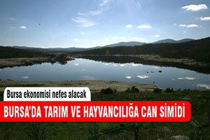 Bursa`da tarım ve hayvancılığa can simidi