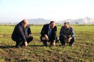 Ceyhan`a Yapay Mera Tesisi