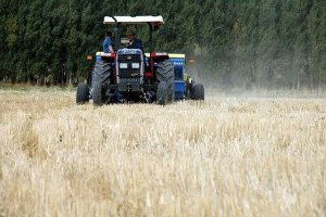 ÇKS Başvuruları 31 Aralık`ta Sona Erecek!