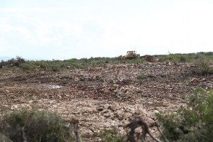 Didim Ziraat Odası`ndan Hazine Arazilerdeki Talana Tepki