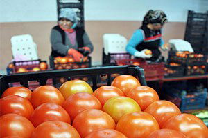 Domatese Noel ve Ruble Freni