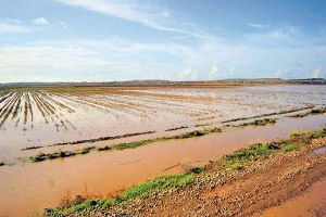 Ezine`de Kuvvetli Yağış Dolayısıyla Tarım Arazileri Zarar Gördü