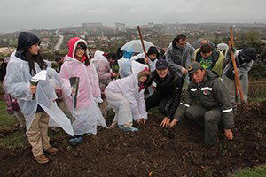 2 Bin Adet Badem Fidanı Dikildi