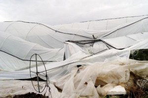 Finike`de Hortum Seraları Vurdu