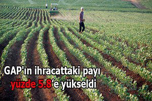 GAP`ın ihracattaki payı yüzde 5.8`e yükseldi