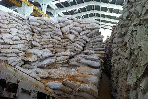 GDO`lu Mısırlar Yem Olarak İç Piyasaya