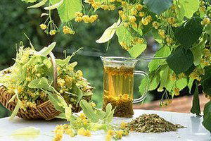 Ihlamur Rekora Koşuyor