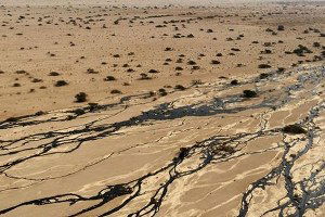 İsrail`de çevre felaketi