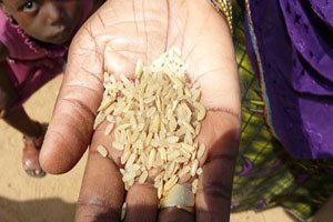 Kalkınma Projelerine Ağır Eleştiri