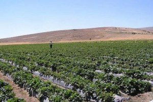 Kırsal Kalkınmada 8.Etap Tamamlandı