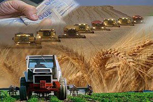 Tarıma Dayalı Yatırım Desteklemelerinde Değişiklik