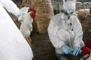 Tunceli`de Kuş Gribi Bilgilendirme Toplantısı