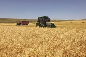 Kütahya`da Kırsal Kalkınma Yatırımları