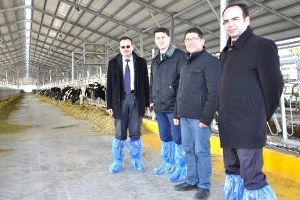 Kütahya`nın En Büyük Et ve Süt Tesisi