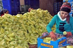 Rusya`daki Devalüasyon Türkiye`yi Vurdu